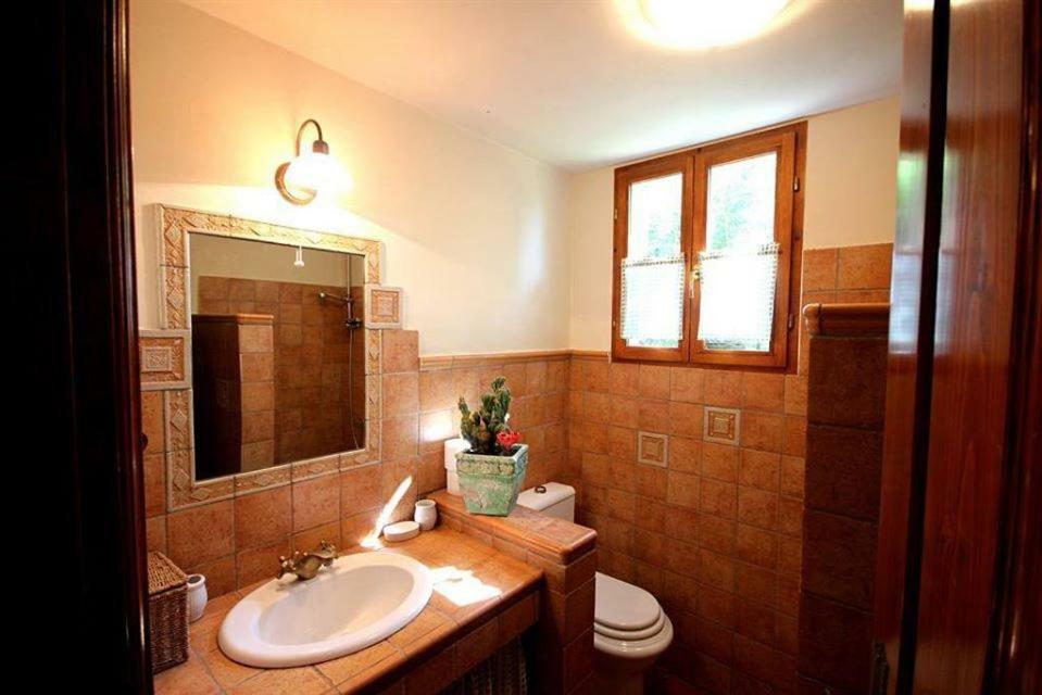 Villa Violica, Karnevali Zminj Экстерьер фото
